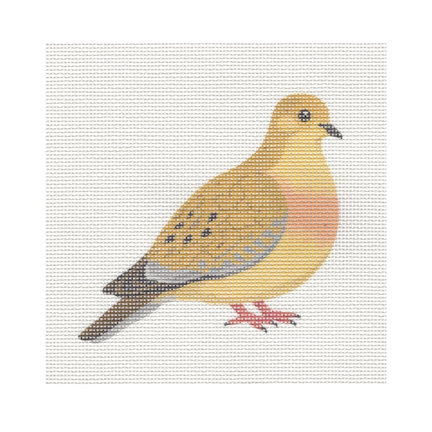 Turtledove — 8" x 8" Canvas