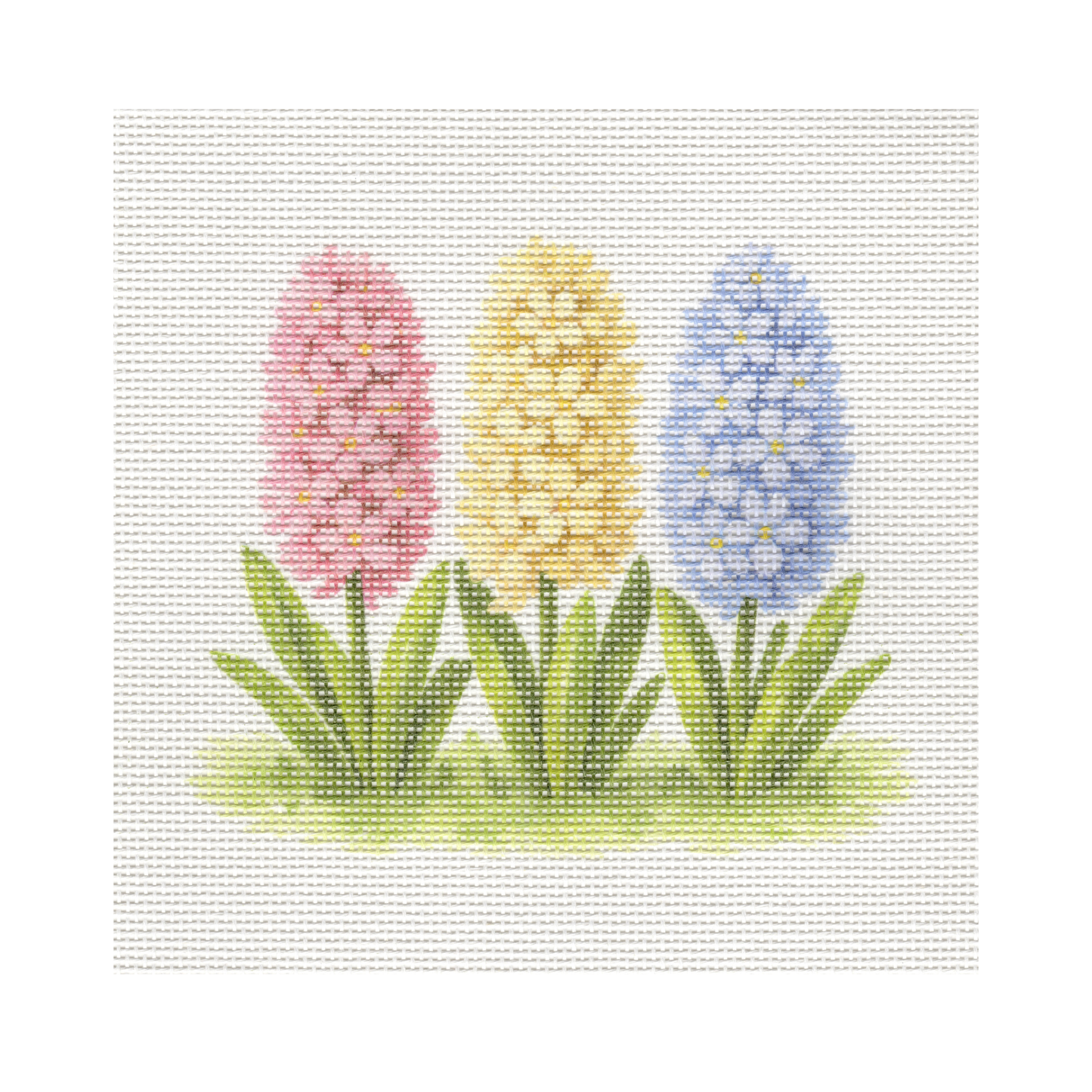 Flowering Hyacinths — 8" x 8" Canvas