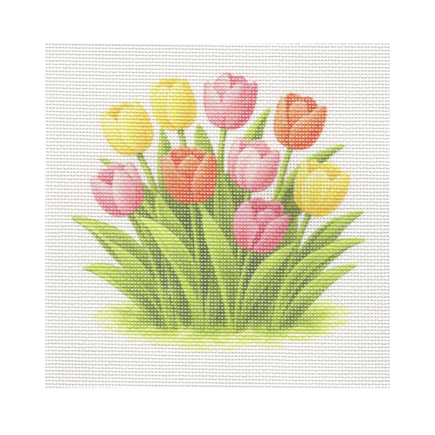 Tulips — 8" x 8" Canvas