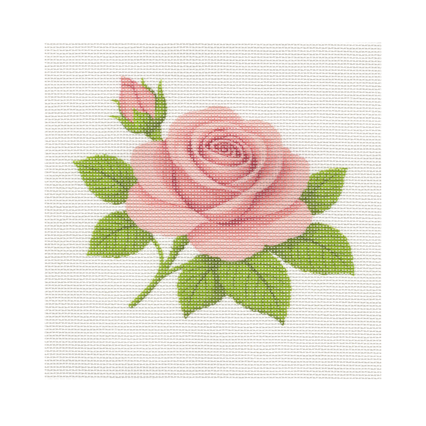 Pink Rose — 8" x 8" Canvas