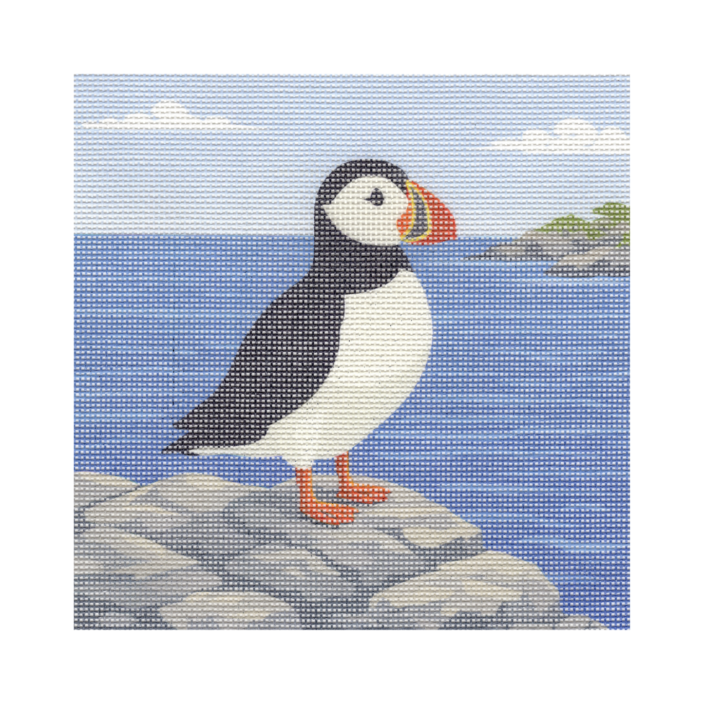Atlantic Puffin on Cliff — 12" x 12" Canvas
