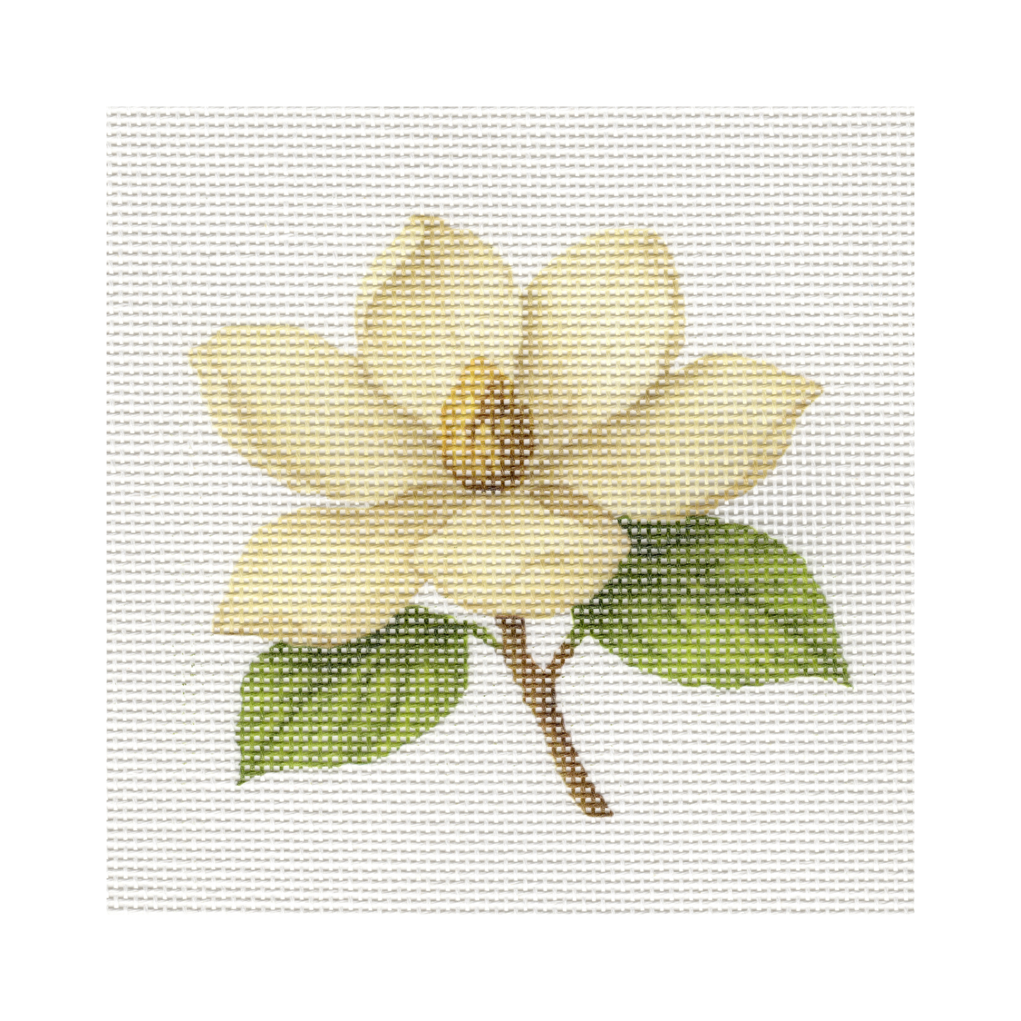 White Magnolia Flower — 8" x 8" Canvas
