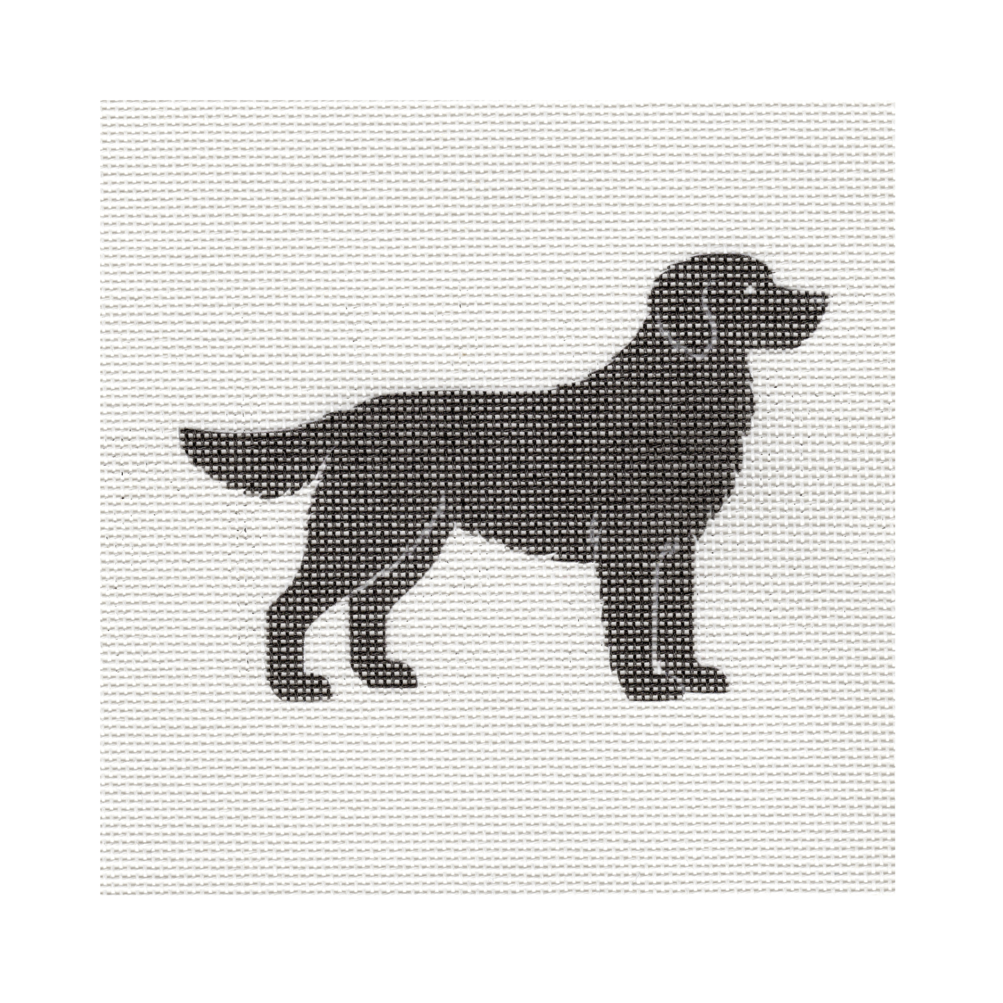 Black Lab — 8" x 8" Canvas