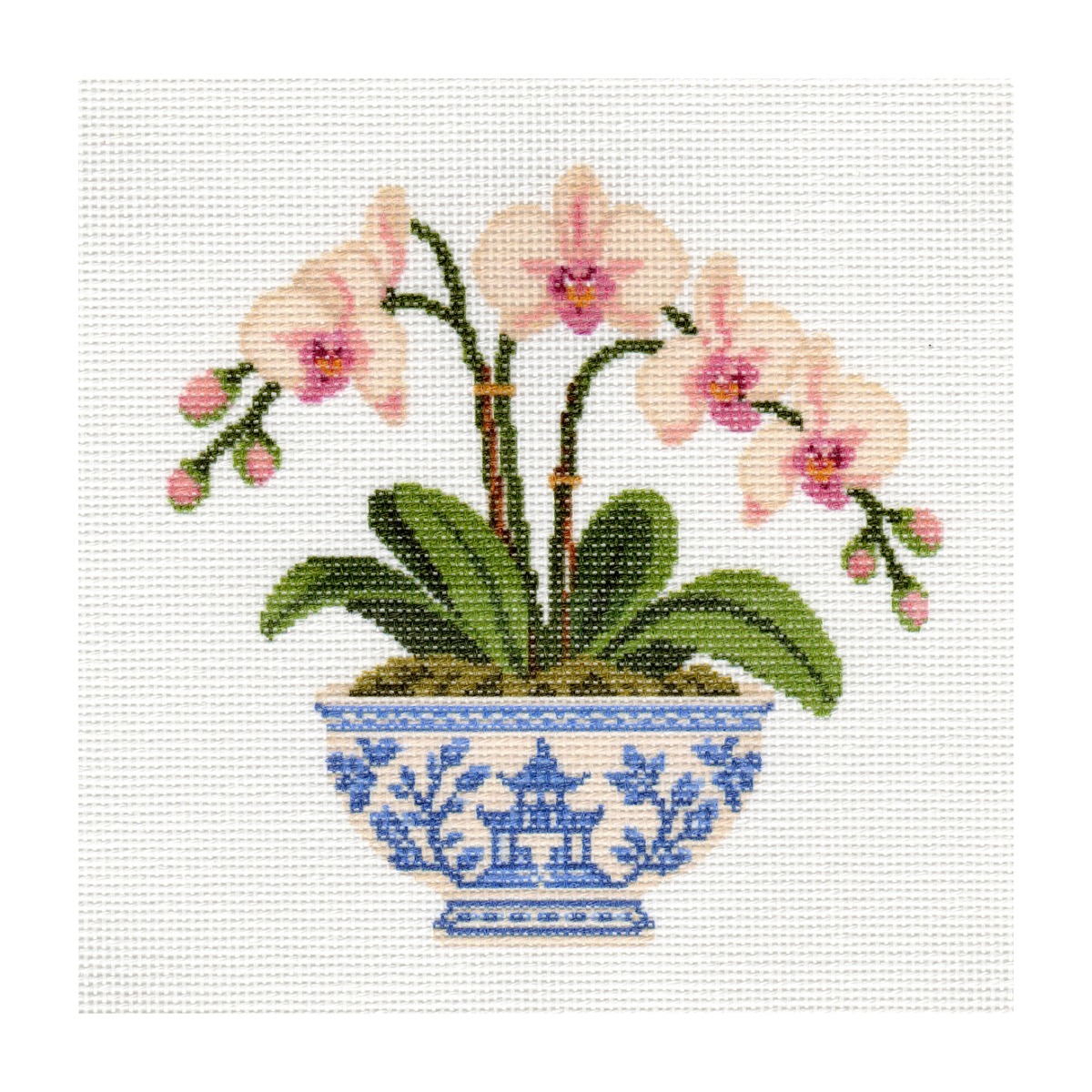 Orchids in Pot — 8" x 8"