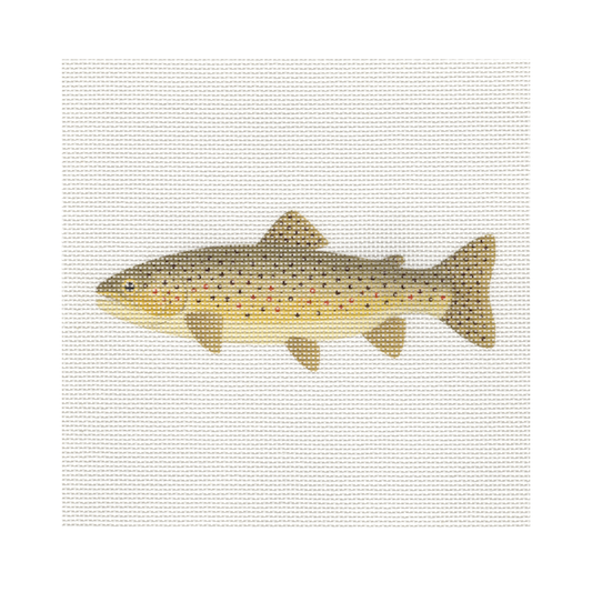 Brown Trout — 8" x 8" Canvas