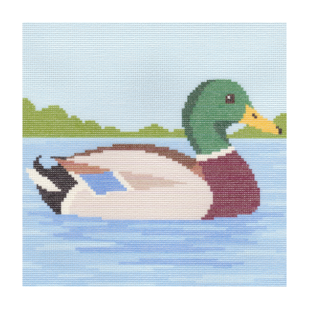 Mallard Duck in Lake — 12" x 12"