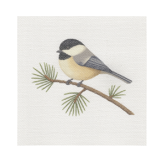 Chickadee — 8" x 8" Canvas