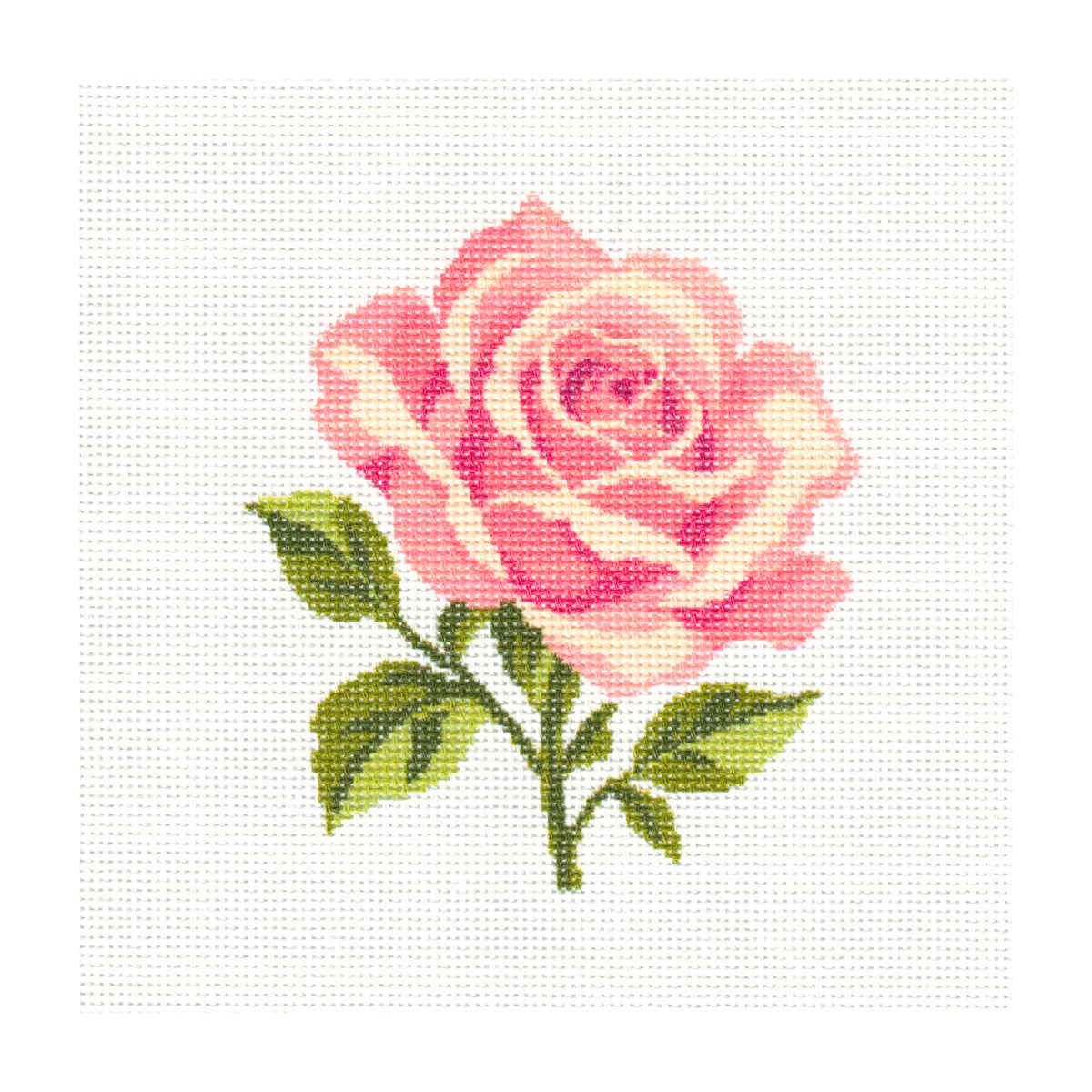 Pink Rose — 8" x 8" Canvas