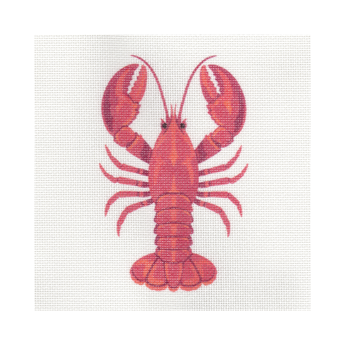 Lobster — 8" x 8" Canvas