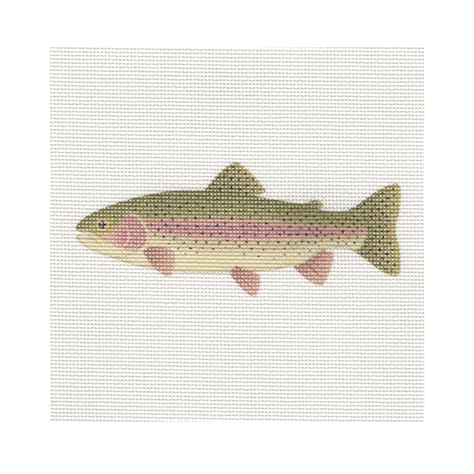Rainbow Trout — 8" x 8" Canvas