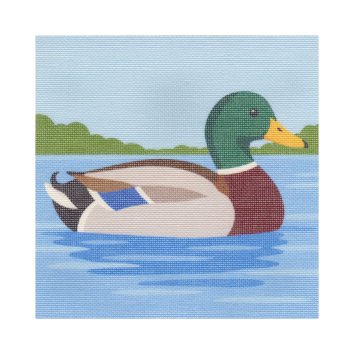 Mallard Duck — 12" x 12" Canvas