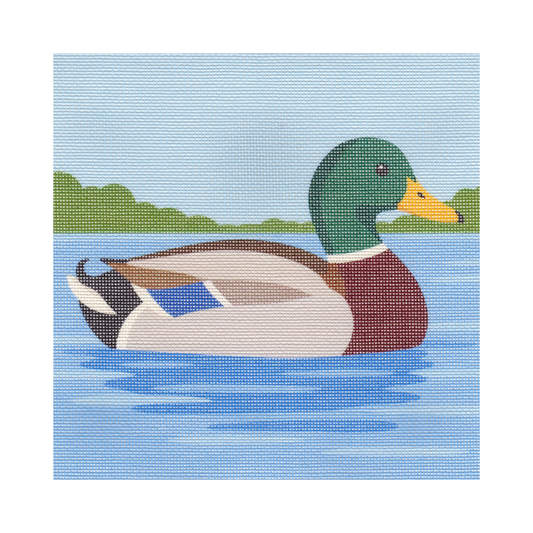 Mallard Duck — 12" x 12" Canvas