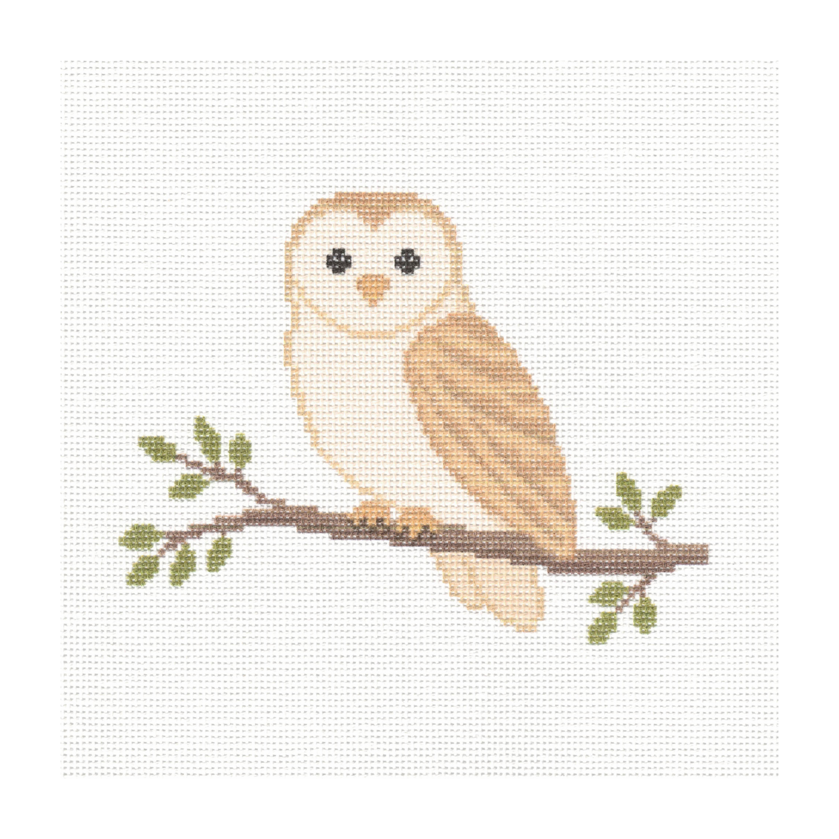 Barn Owl— 8" x 8"
