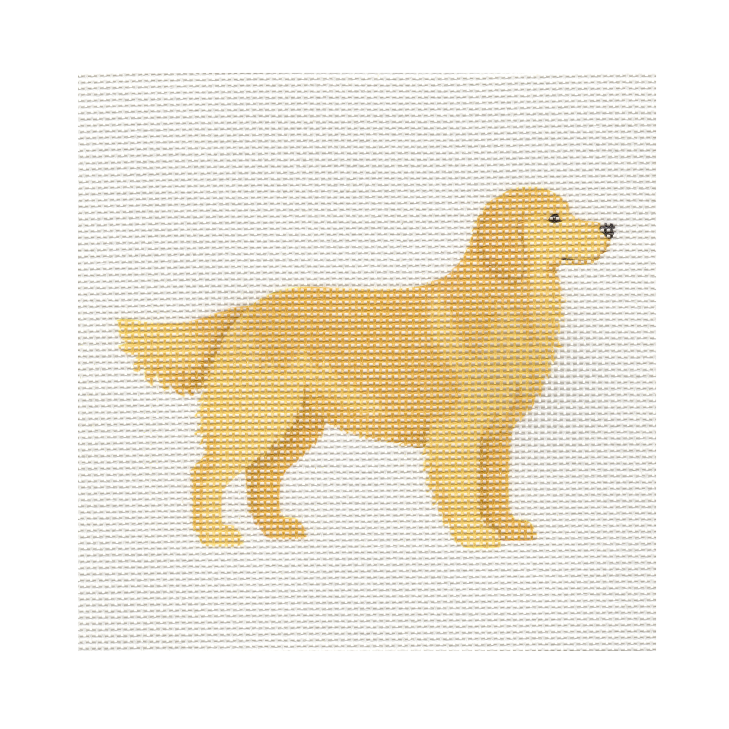 Golden Retriever — 8" x 8" Canvas