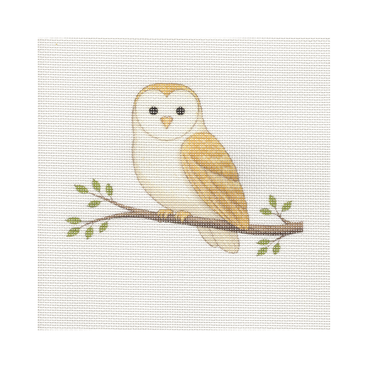 Barn Owl — 8" x 8" Canvas