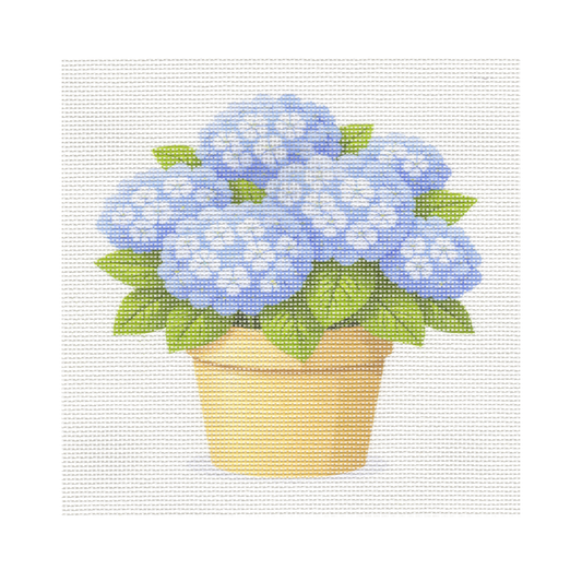 Blue Hydrangeas in Pot — 12" x 12" Canvas