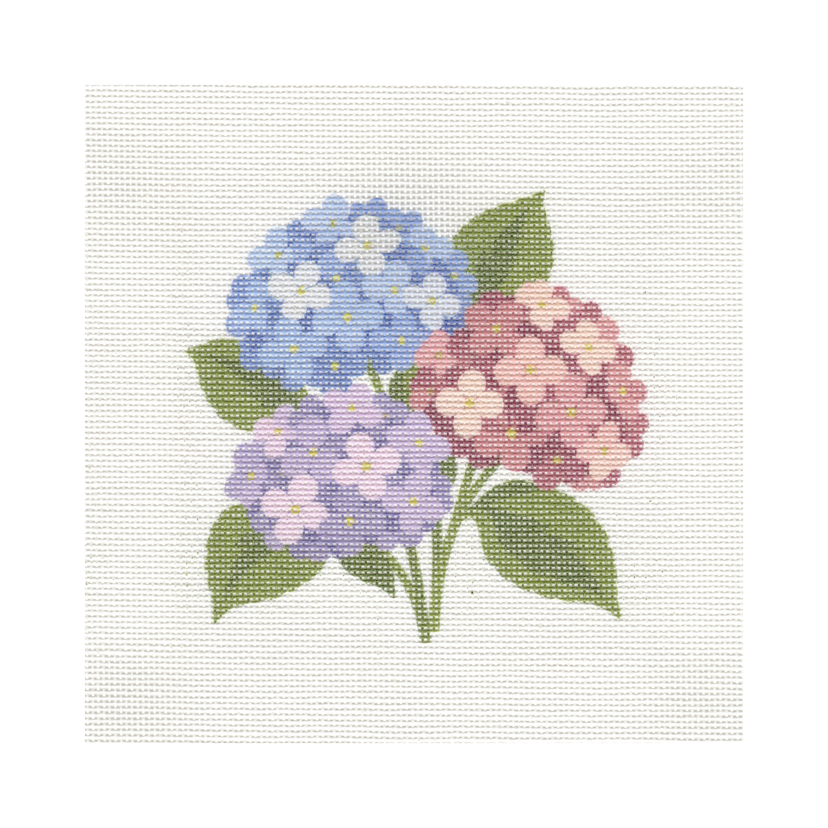 Fall Hydrangeas — 8" x 8" Canvas
