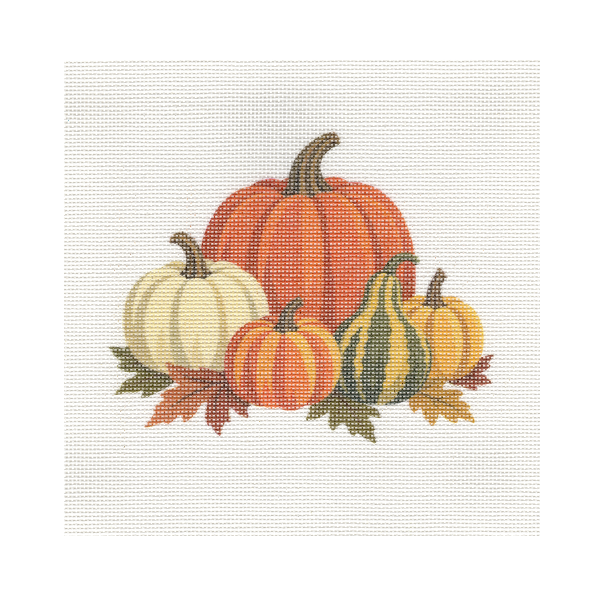 Pumpkins and Gourds — 8" x 8" Canvas