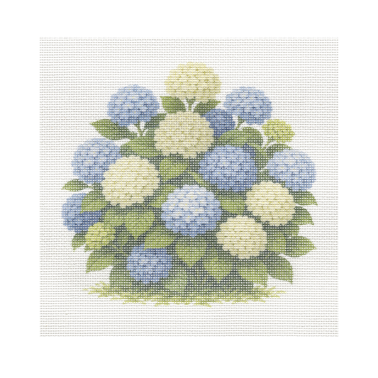 Blue and White Hydrangea Bush — 8" x 8" Canvas