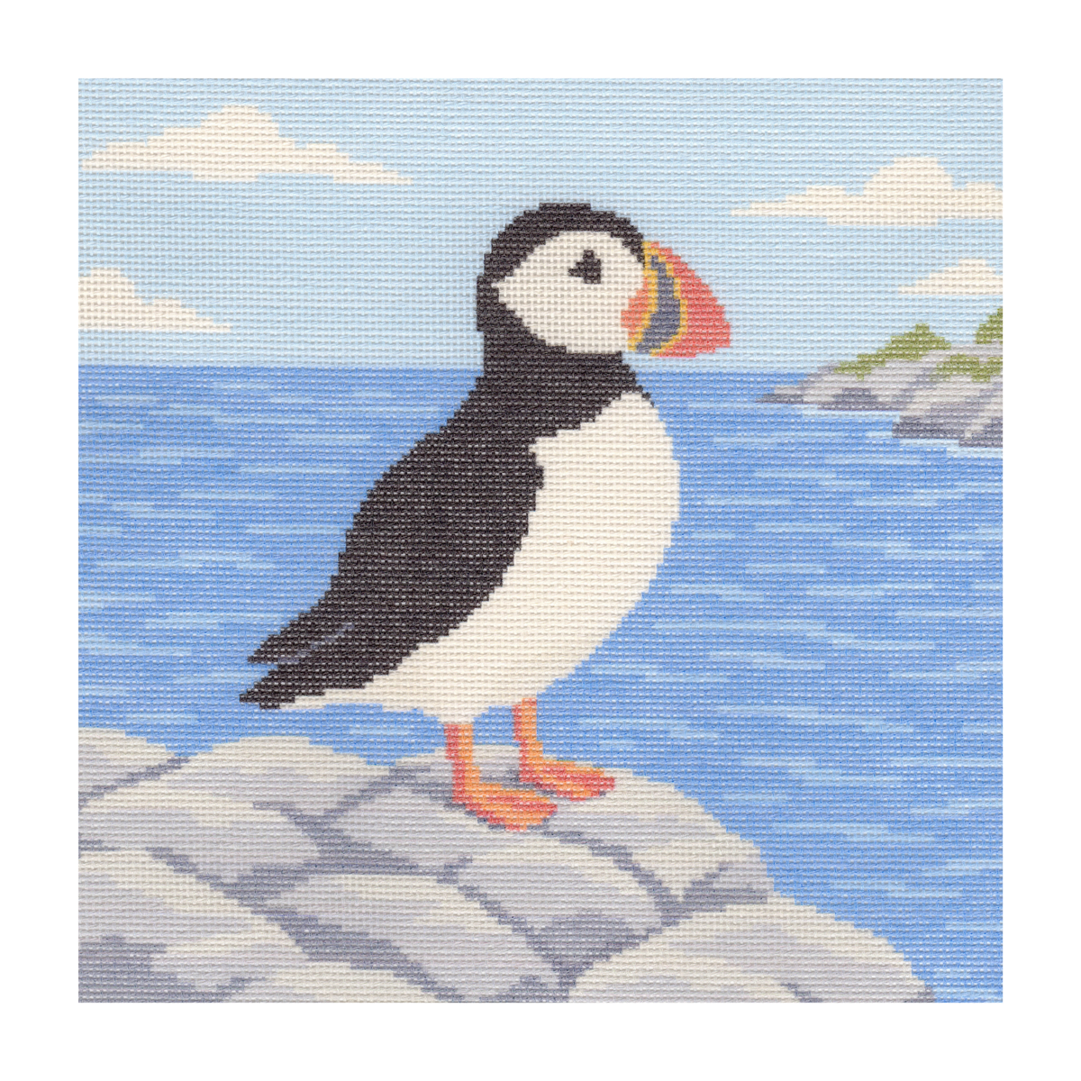 Atlantic Puffin on Cliff — 12" x 12"